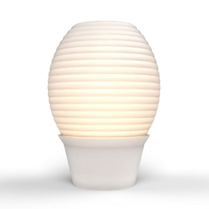 Honara Table Lamp